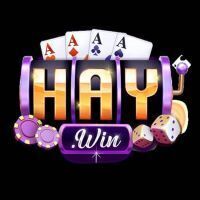 haywin 2026io