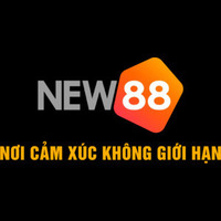 NEW88 net