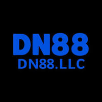 dn88 llc